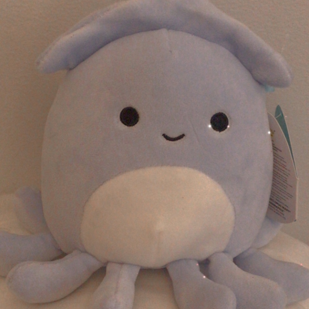 Stacy 5” squishmallow squid